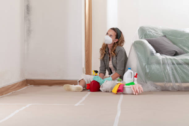 Reliable Mold Remediation contractor in Ferndale, MI by Mold Remediation HQ